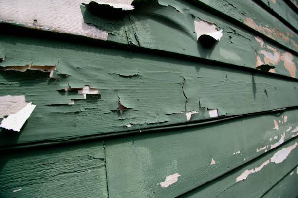 Best Commercial Junk Removal  in Taylorsville, KY