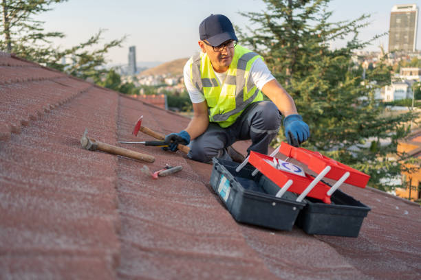 Best Yard Waste Removal  in Taylorsville, KY